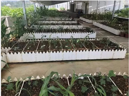 嘉力达低碳研究院荣获绿色建筑“奥斯卡”LEED铂金级认证