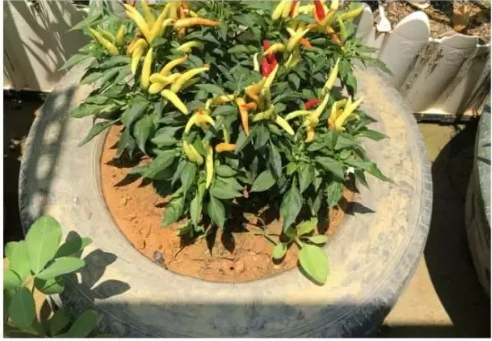 嘉力达低碳研究院荣获绿色建筑“奥斯卡”LEED铂金级认证