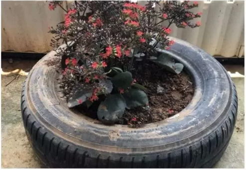 嘉力达低碳研究院荣获绿色建筑“奥斯卡”LEED铂金级认证